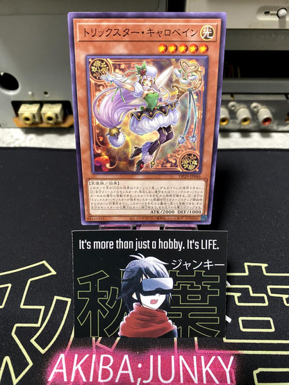 Trickstar Corobane DP29-JP046 Yugioh OCG JAPAN