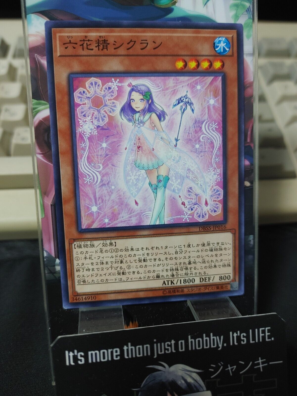 Snowflower Sprite Cyclan DBSS-JP016 Yugioh OCG JAPAN