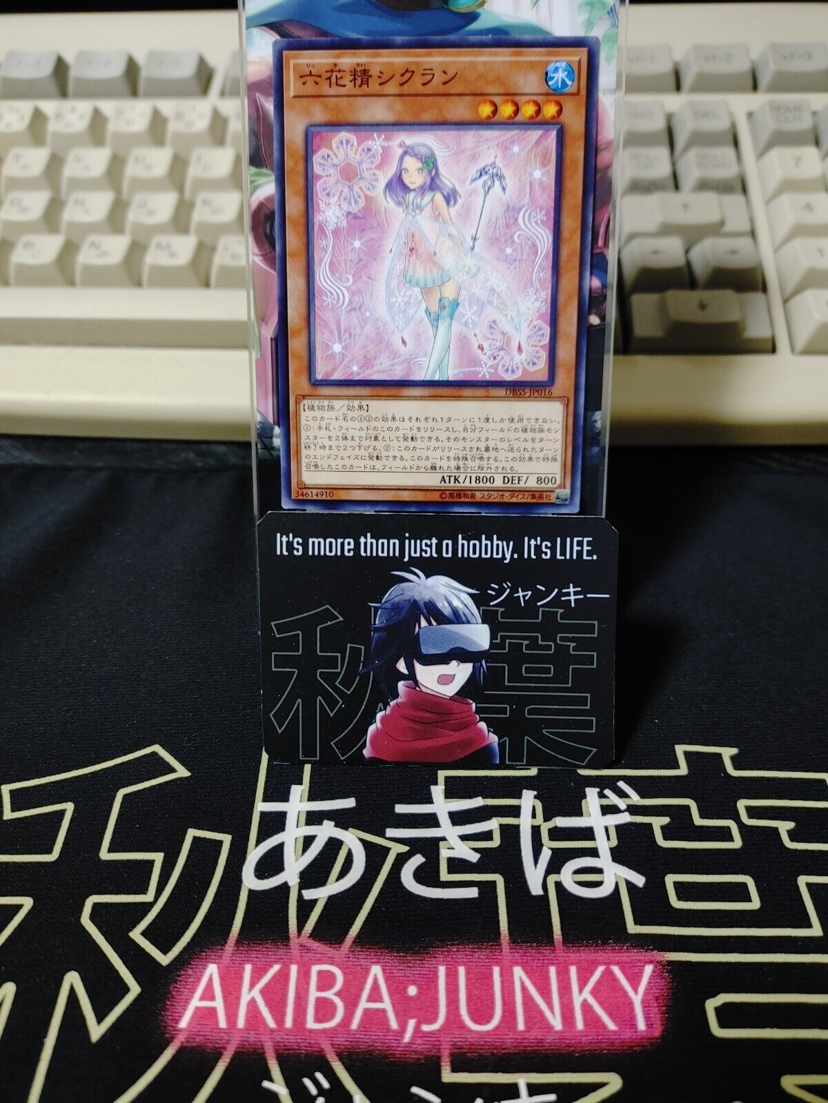 Snowflower Sprite Cyclan DBSS-JP016 Yugioh OCG JAPAN