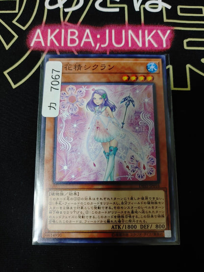 Snowflower Sprite Cyclan DBSS-JP016 Yugioh OCG JAPAN