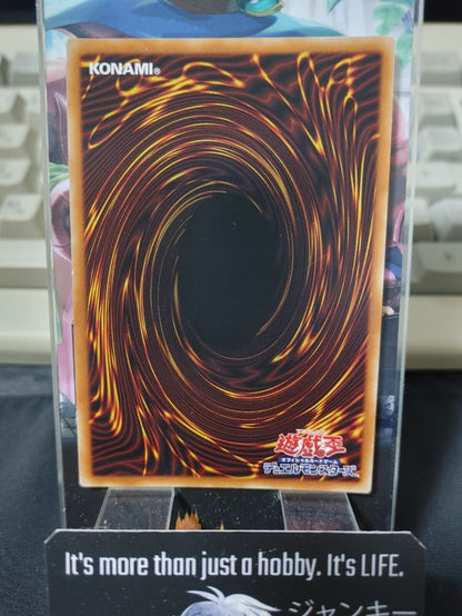 Odd-Eyes Wizard Dragon Yu-Gi-Oh DP23-JP046 Super Rare Yugioh OCG Japan