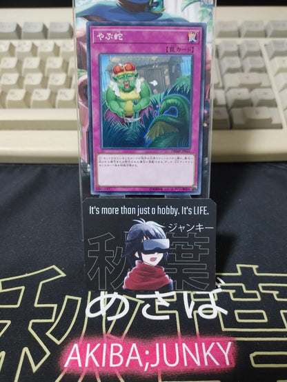 Waking the Dragon Yu-Gi-Oh DBMF-JP045 Yugioh OCG JAPAN