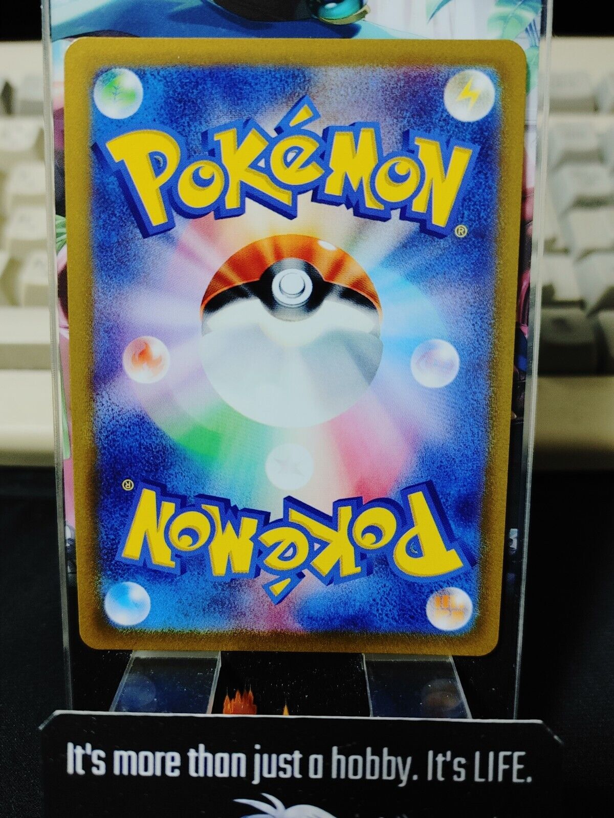 Pokemon Feraligatr S8 022/100 R Card Japanese JAPAN Release