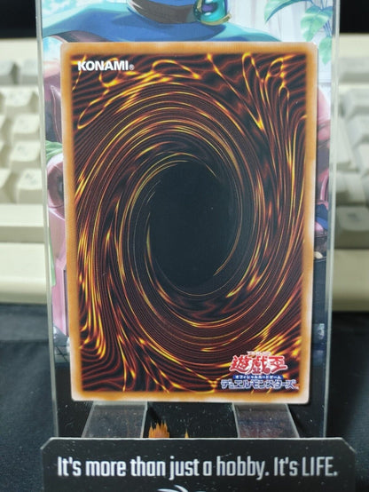 Apprentice Illusion Magician QCCU-JP005 Ultra Rare Yugioh OCG Yu-Gi-Oh JAPAN