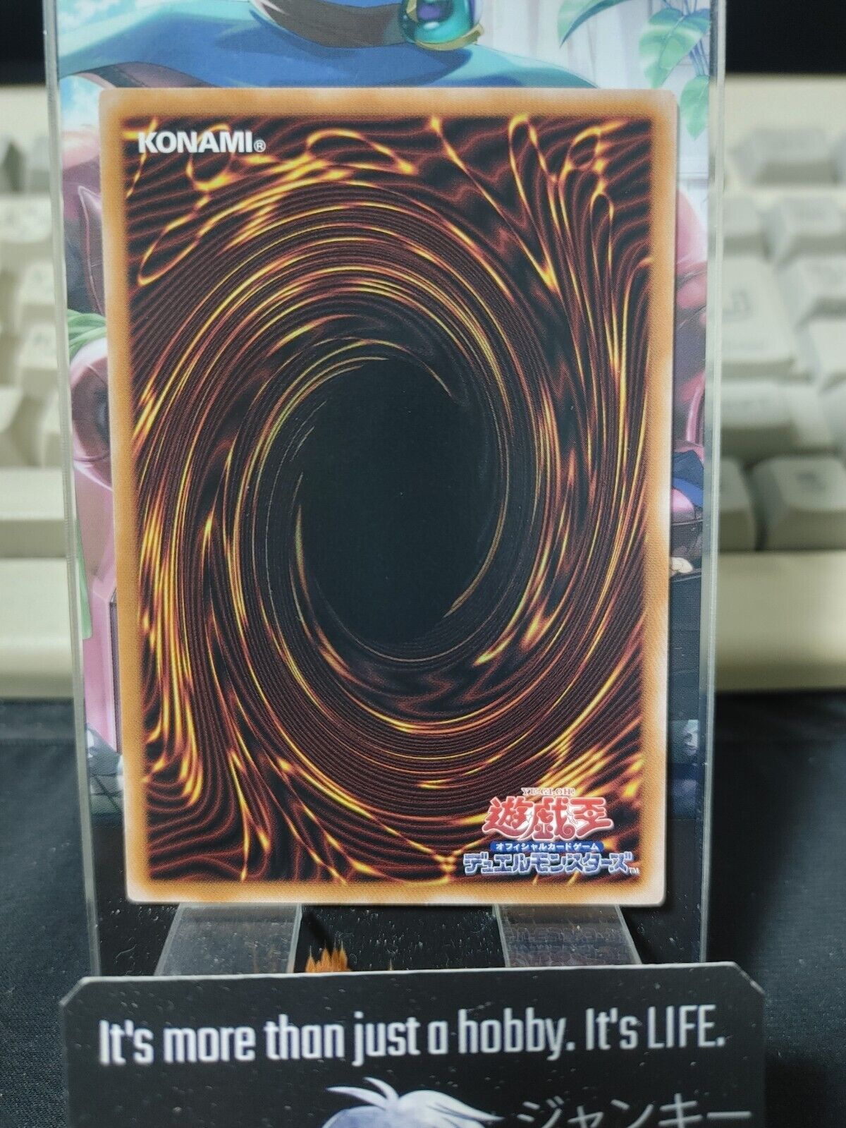 Dora Draco INFO-JP028 Yugioh Yu-Gi-Oh OCG Konami JAPAN