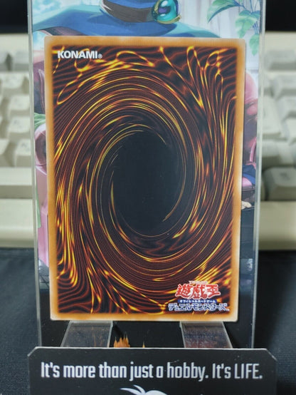 World Chalice Guardragon Almarduke Yugioh DANE-JP032 Rare OCG JAPAN