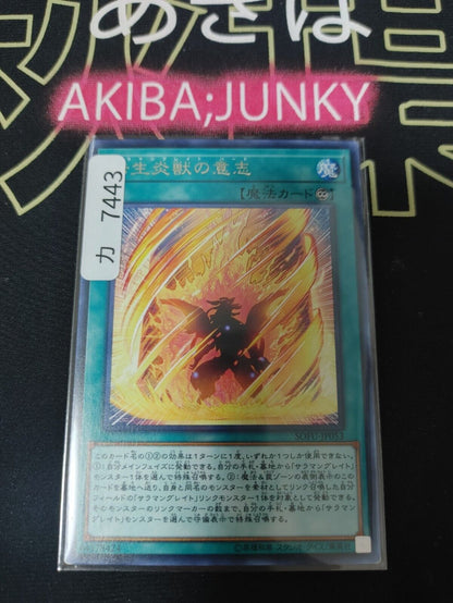 Will of the Salamangreat SOFU-JP053 Rare Yugioh OCG JAPAN