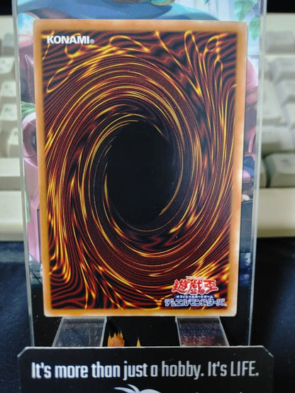 Dice Try Again ROTD-JP067 Yugioh OCG JAPAN