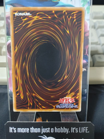 Blockout Curtain RIRA-JP065 Yugioh OCG JAPAN