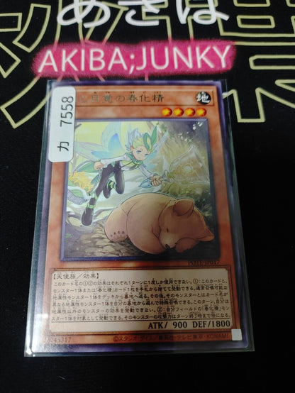 Vernalizer Fairy of Forests and Awakenin Yugioh POTE-JP017 Rare OCG JAPAN
