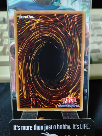 Noctovision Dragon Yugioh ETCO-JP007 Rare OCG JAPAN