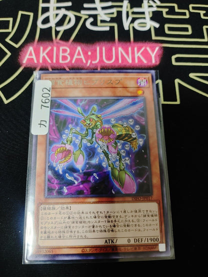 Predaplant Byblisp Yugioh DIFO-JP017 Rare OCG JAPAN