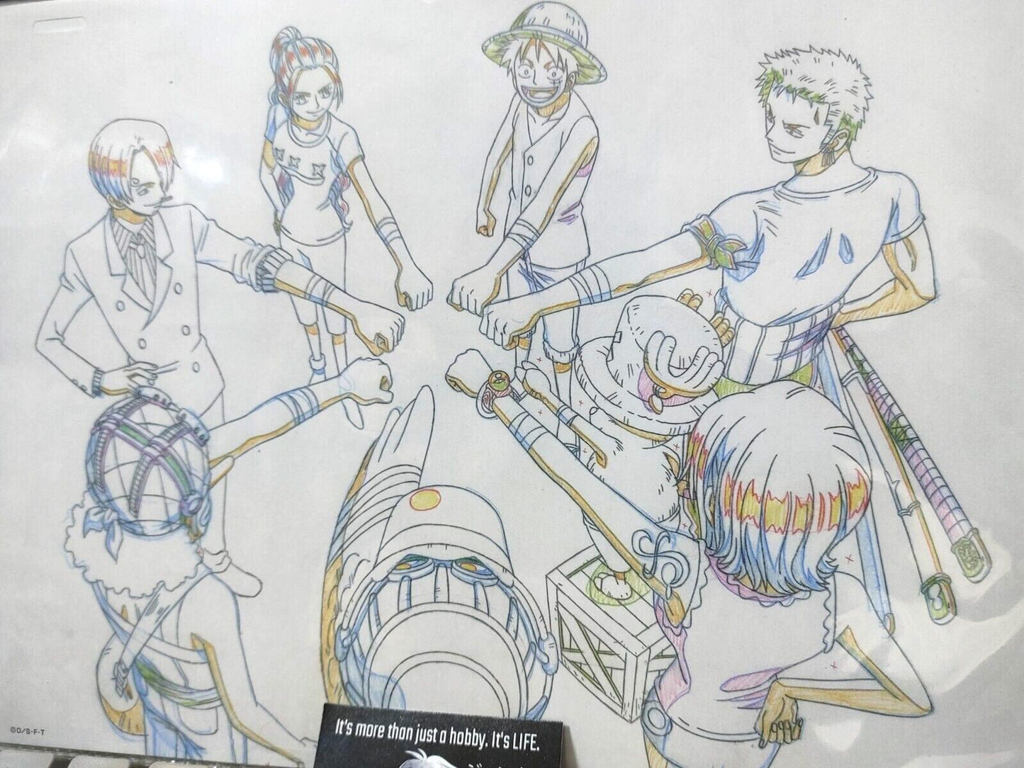 Anime One Piece Animation Cel Print Design All Star M Crew B Japan Limited