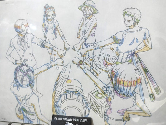 Anime One Piece Animation Cel Print Design All Star M Crew B Japan Limited