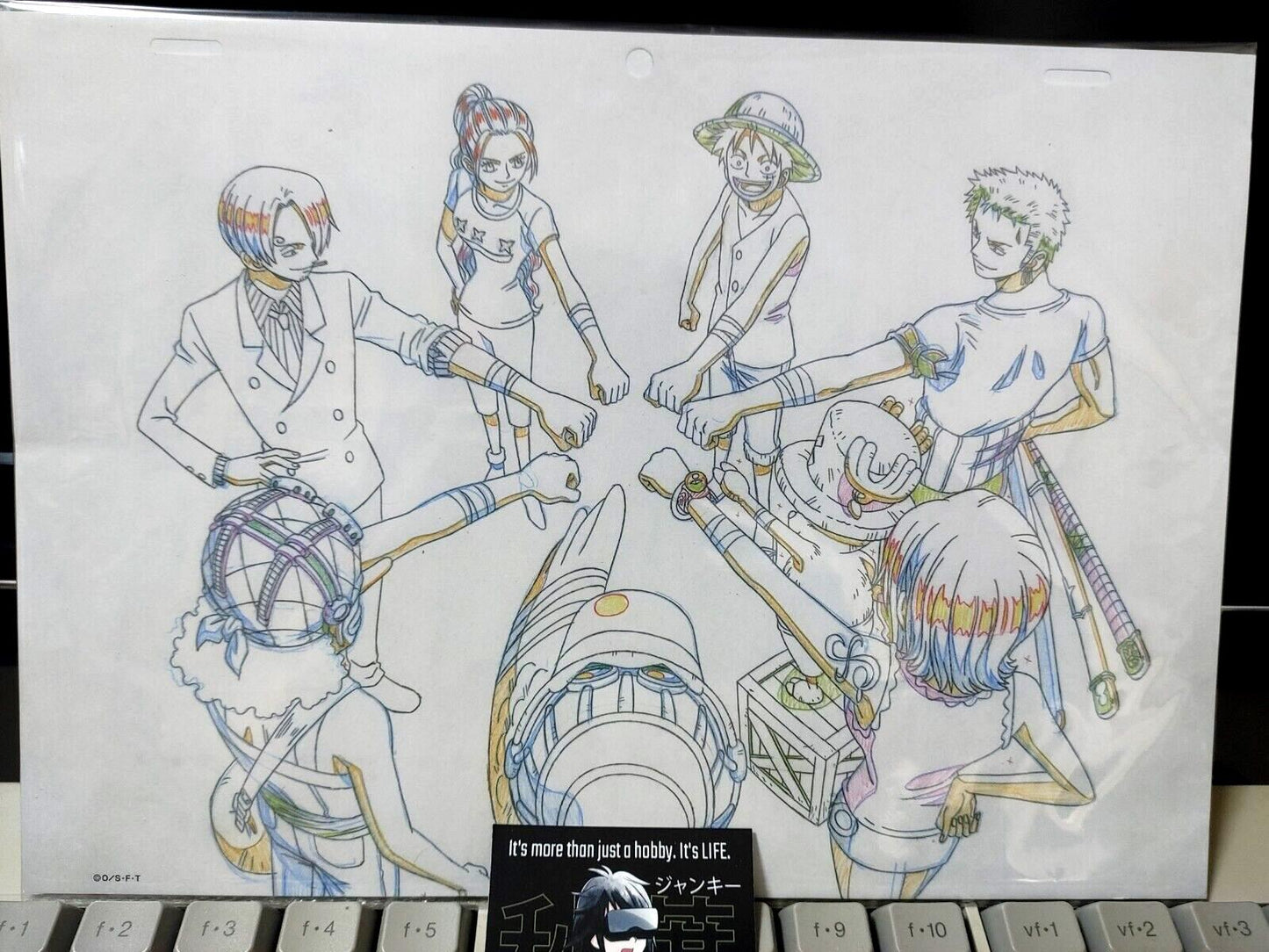 Anime One Piece Animation Cel Print Design All Star M Crew B Japan Limited
