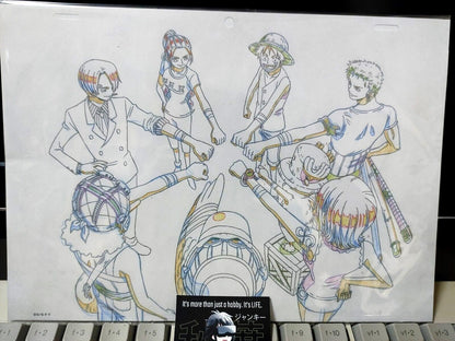 Anime One Piece Animation Cel Print Design All Star M Crew B Japan Limited
