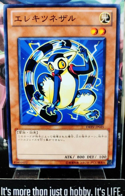 Wattlemur DREV-JP025 Yugioh Yu-Gi-Oh OCG Konami JAPAN