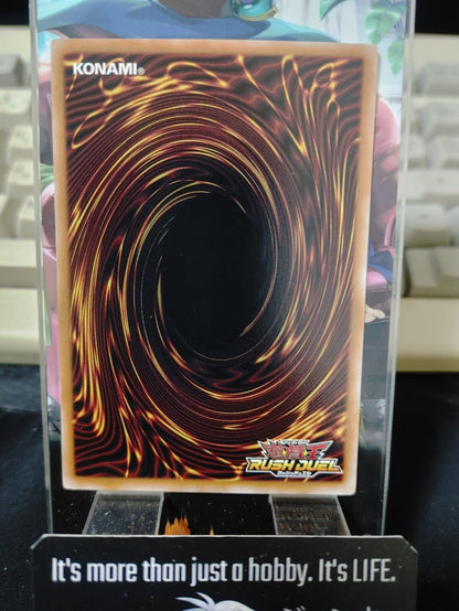 Meteorite Dragon's Chick RD/TB02-JP018 Yu-Gi-Oh Rush Duel Yugioh JAPAN