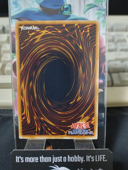 Twin-Barrel Dragon Yugioh TDGS-JP029 Rare OCG JAPAN