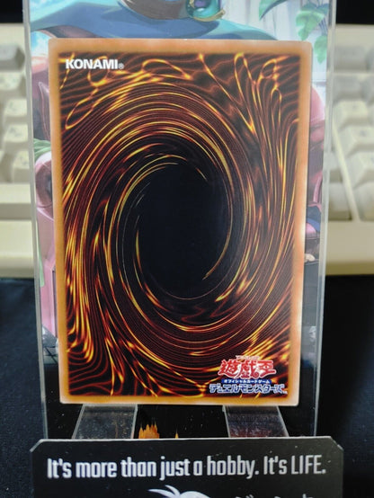 Yellow Dragon Ninja EP19-JP054 Yugioh Yu-Gi-Oh OCG Konami JAPAN