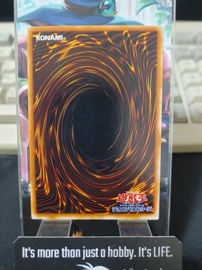 Kattapillar Yugioh Yu-Gi-Oh OCG Konami JAPAN
