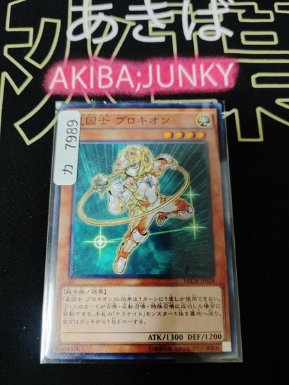 Satellarknight Procyon NECH-JP028 Yugioh Yu-Gi-Oh OCG Konami JAPAN