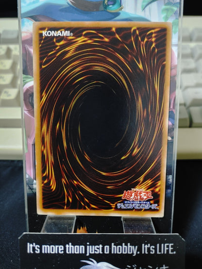 Kunoichi TDGS-JP031 Yugioh Yu-Gi-Oh OCG Konami JAPAN UNCENSORED