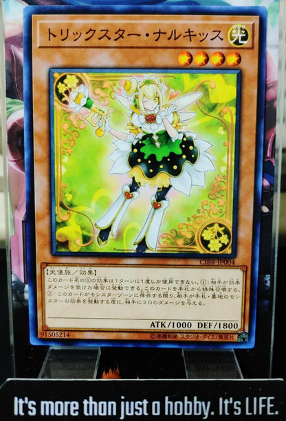 Trickstar Narkissus CIBR-JP004 Yugioh Yu-Gi-Oh OCG Konami JAPAN
