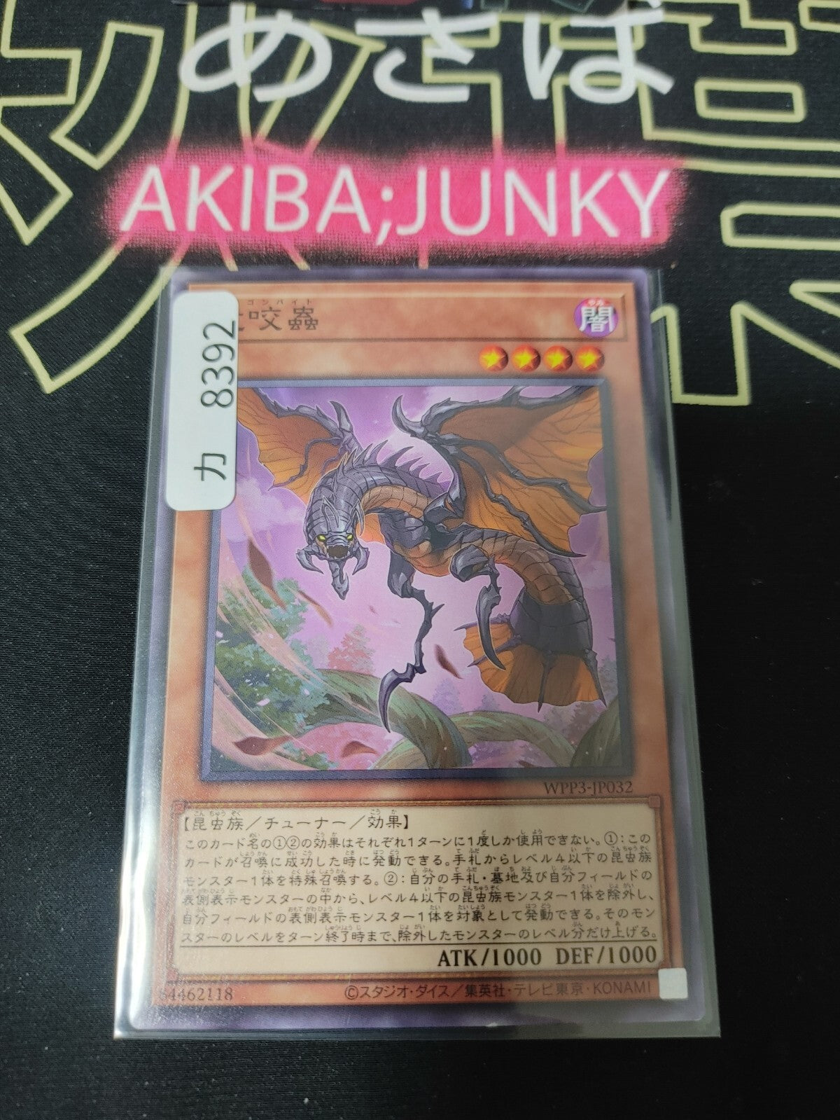 Dragonbite WPP3-JP032 Yugioh Yu-Gi-Oh OCG Konami JAPAN
