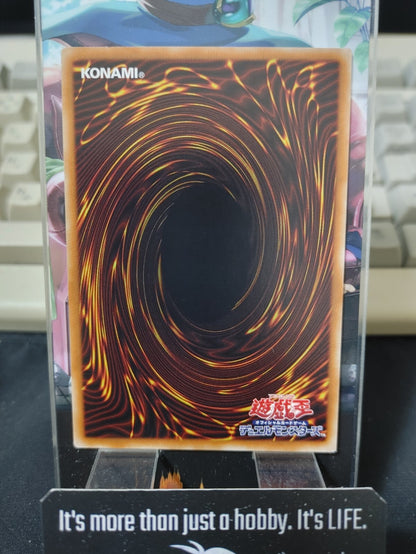 Yuki-Musume, the Ice Mayakashi DANE-JP016 Rare Yugioh OCG Konami JAPAN