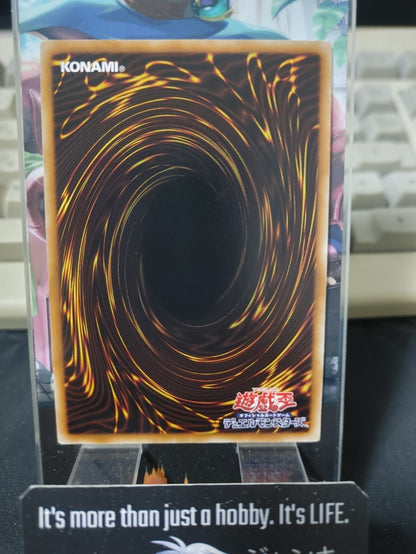 Constellar Praesepe DT14-JP038 Super Rare Holo Yugioh OCG JAPAN