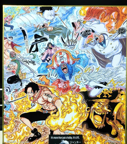 Anime One Piece Animation Art Design Panel Board Shikishi Type A Japan Limited