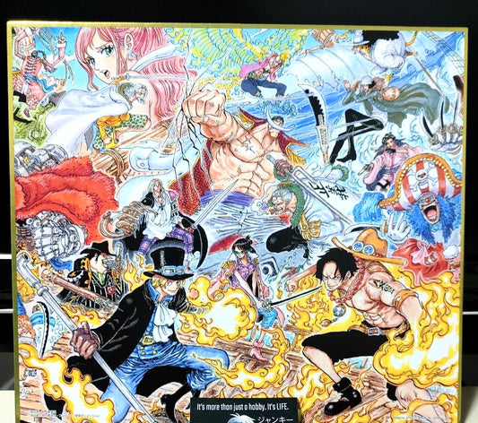 Anime One Piece Animation Art Design Panel Board Shikishi Type B Japan Limited