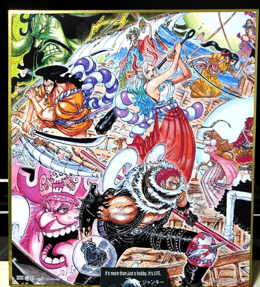 Anime One Piece Animation Art Design Panel Board Shikishi Type C Japan Limited