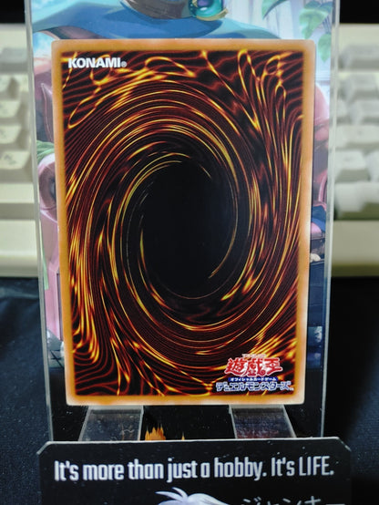 Magical Musketeer Doc Yugioh DBSW-JP017 Yu-Gi-Oh Konami OCG JAPAN