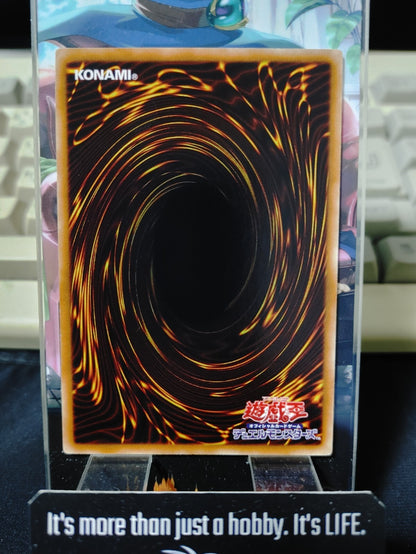 Infestation Ripples Yugioh DT11-JP049 Holo Yu-Gi-Oh Konami OCG JAPAN