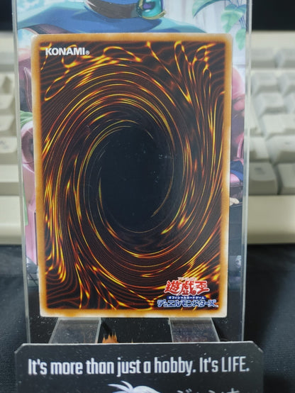 Toon Alligator Yugioh Yu-Gi-Oh Konami OCG JAPAN