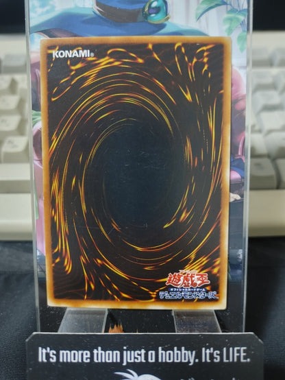 Amazon of the Seas Yugioh Yu-Gi-Oh Konami OCG JAPAN UNCENSORED