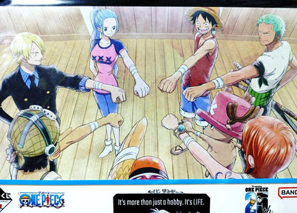 One Piece Animation Cel Print Style Scene Board Panel Decoration Crew B JAPAN