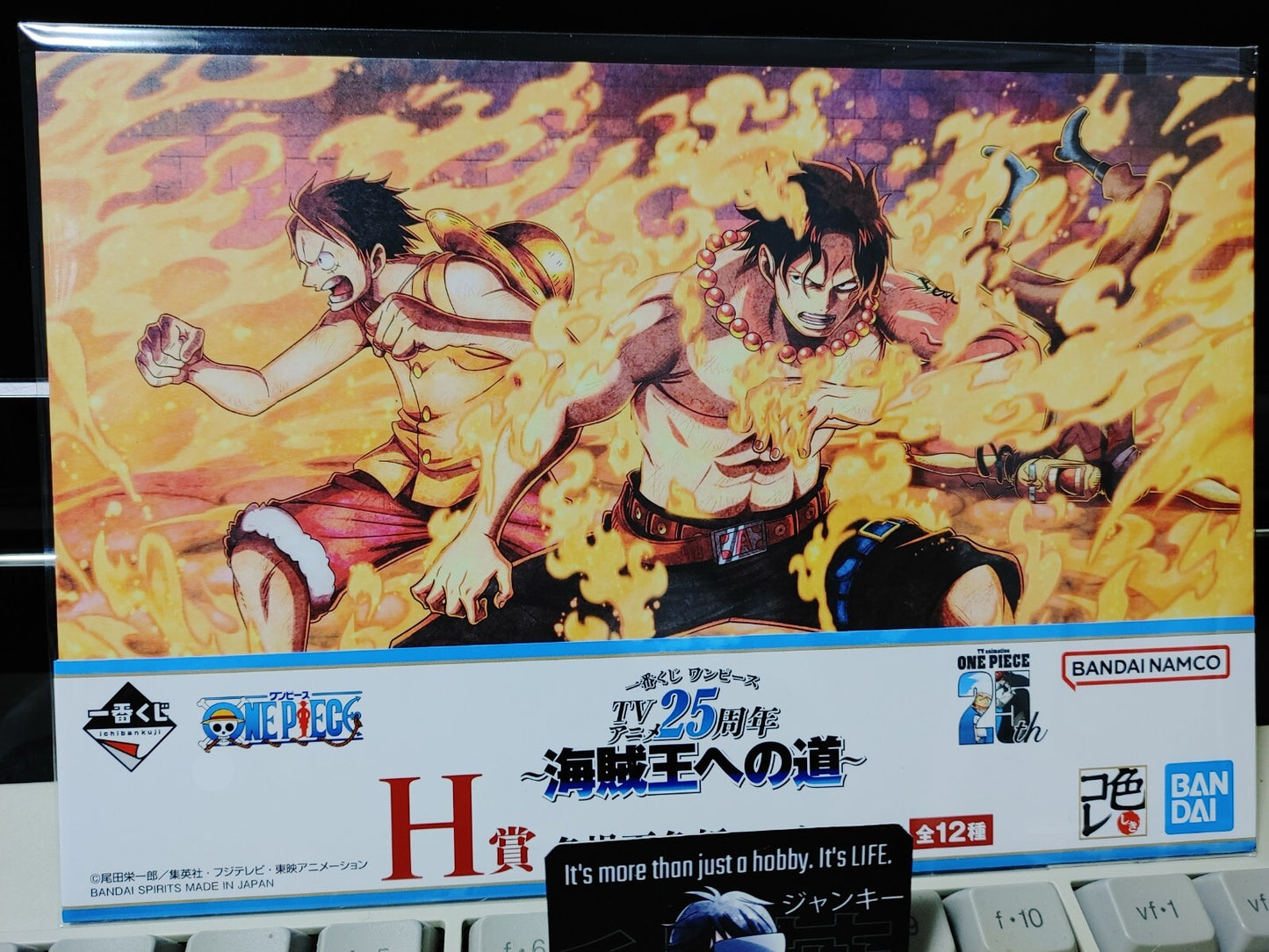 One Piece Animation Cel Print Style Scene Board Panel Decoration Luffy Ace JAPAN