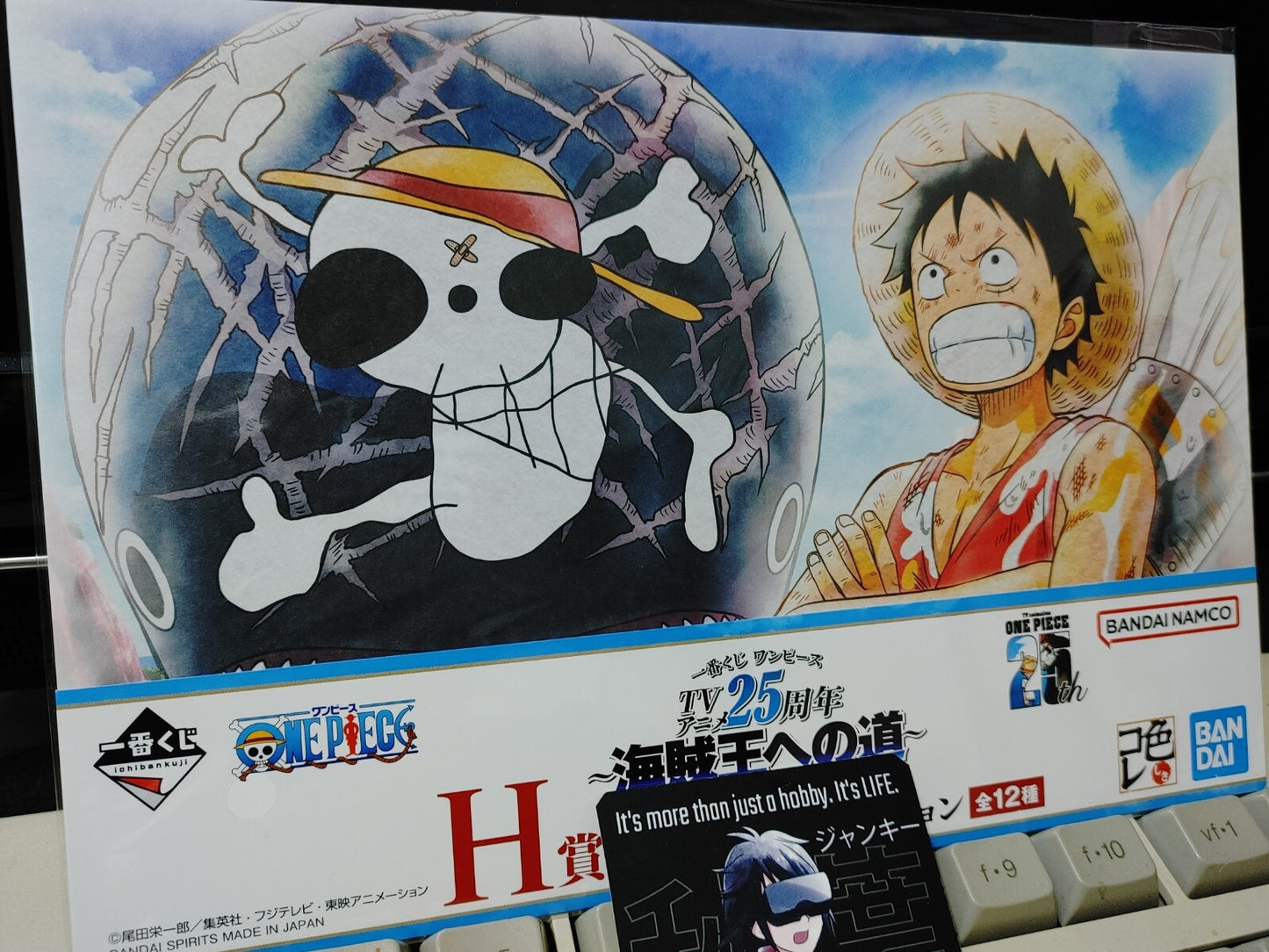 One Piece Animation Cel Print Style Scene Board Panel Decoration Luffy E JAPAN
