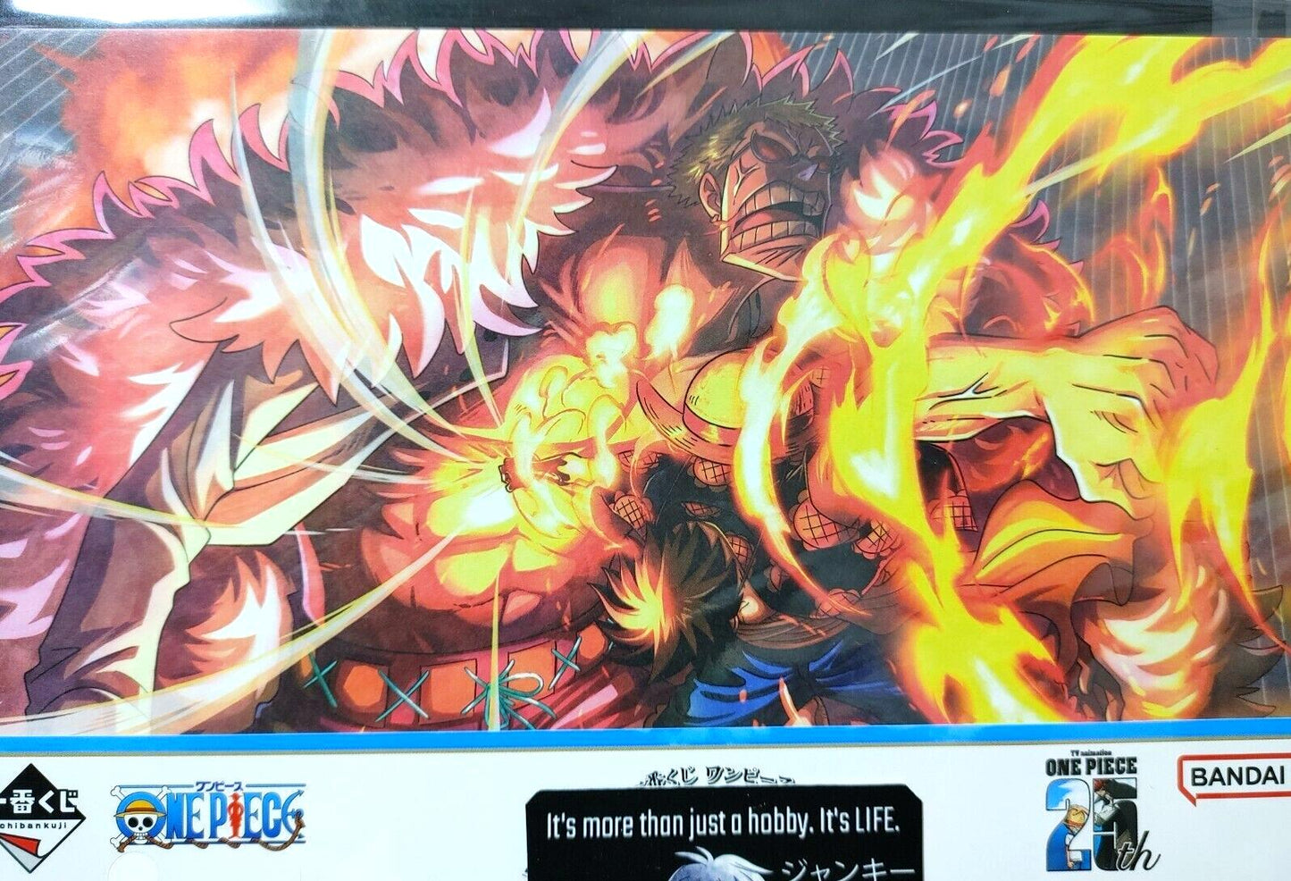 One Piece Animation Cel Print Style Scene BoardPanel Decoration Luffy G JAPAN