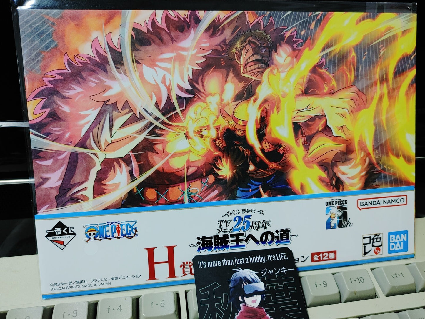 One Piece Animation Cel Print Style Scene BoardPanel Decoration Luffy G JAPAN