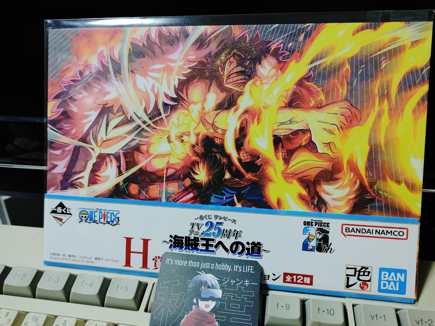 One Piece Animation Cel Print Style Scene BoardPanel Decoration Luffy G JAPAN