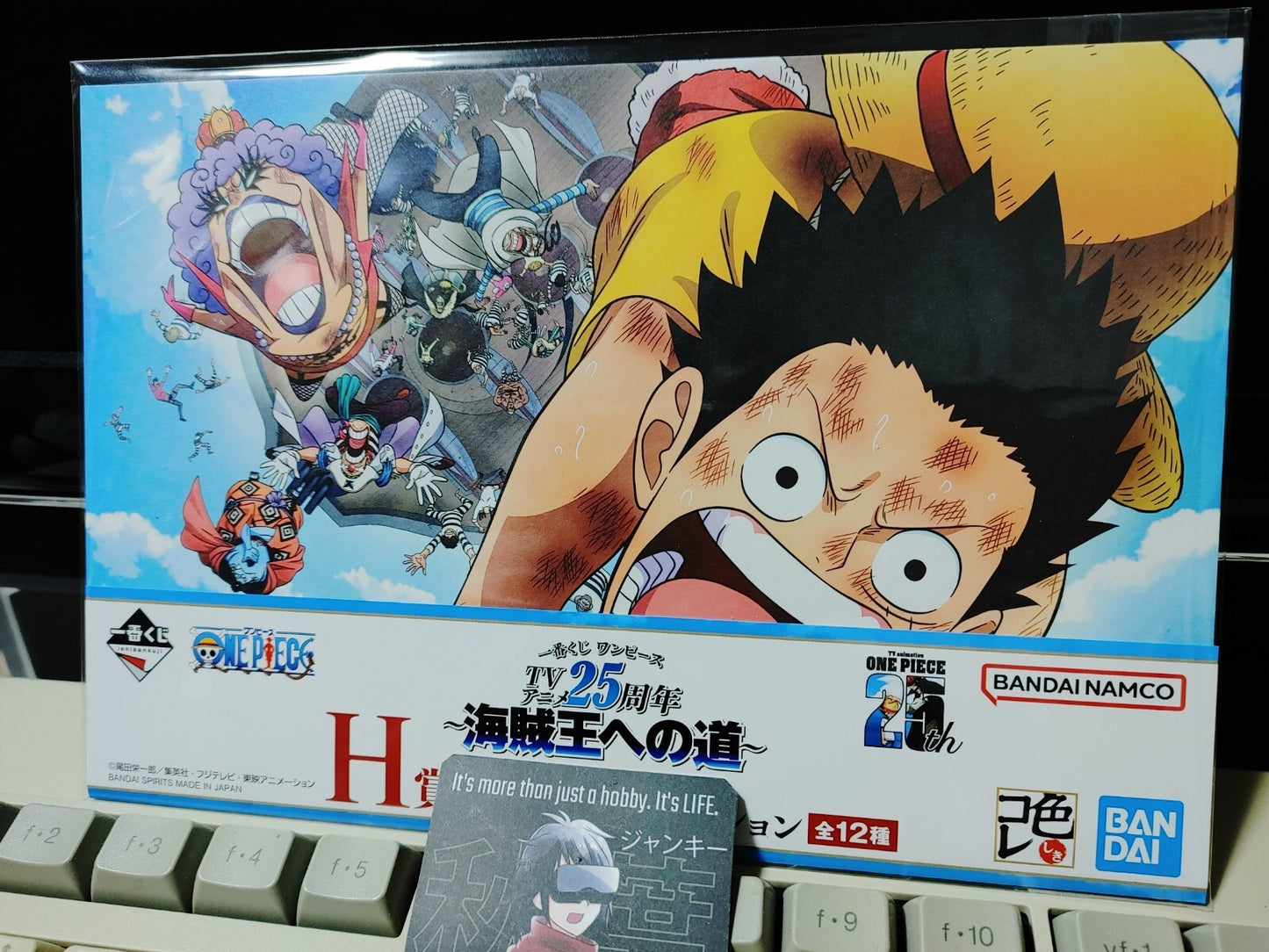 One Piece Animation Cel Print Style Scene Board  Panel Decoration Luffy I JAPAN