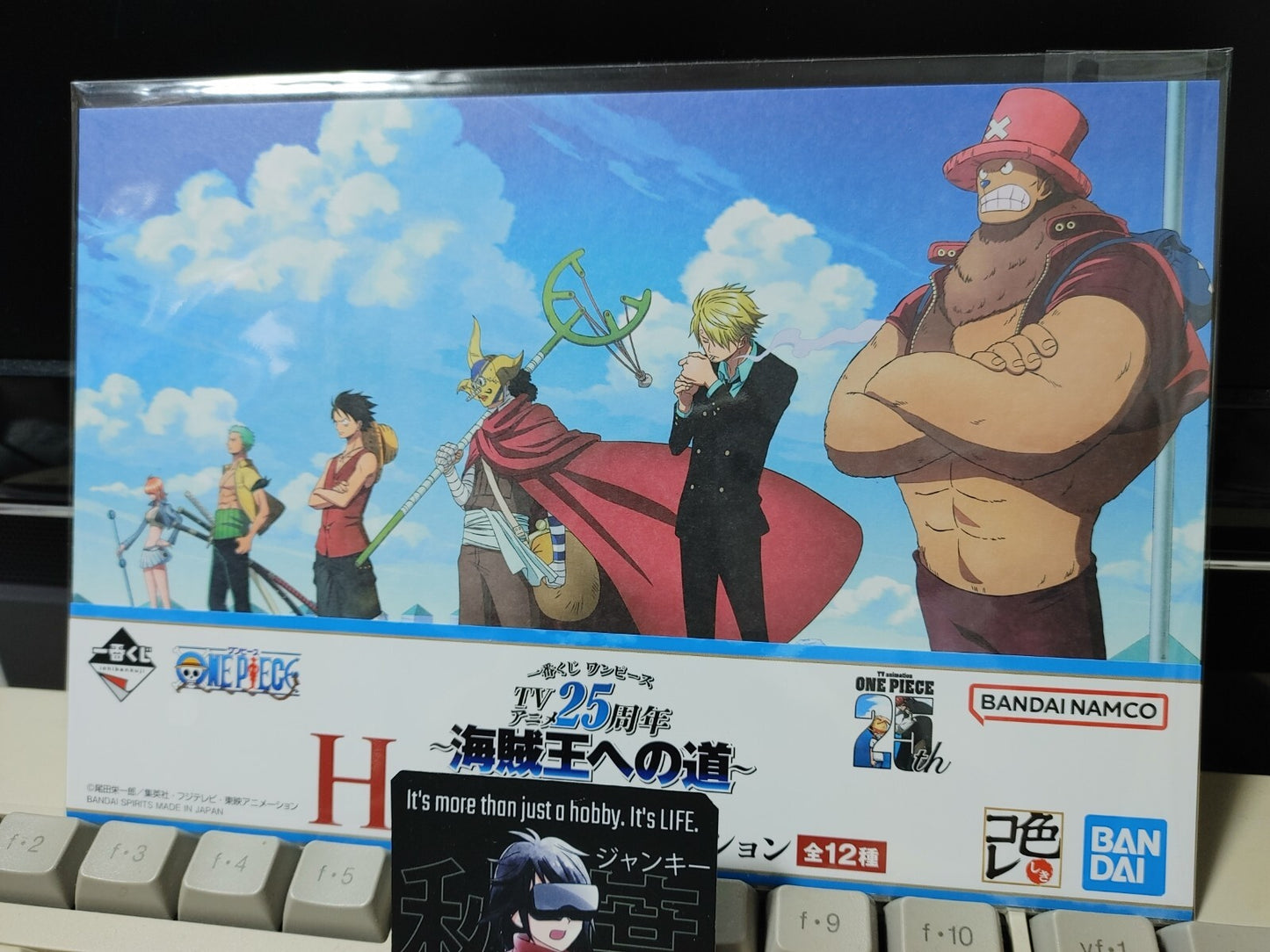 One Piece Animation Cel Print Style Scene Board Panel Decoration Crew C JAPAN