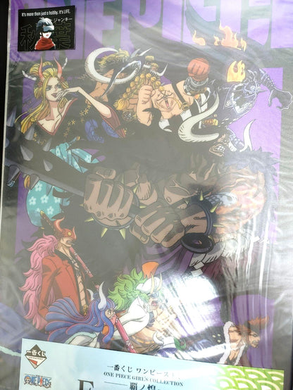 One Piece Anime Collectible Visual Poster Board C JAPAN