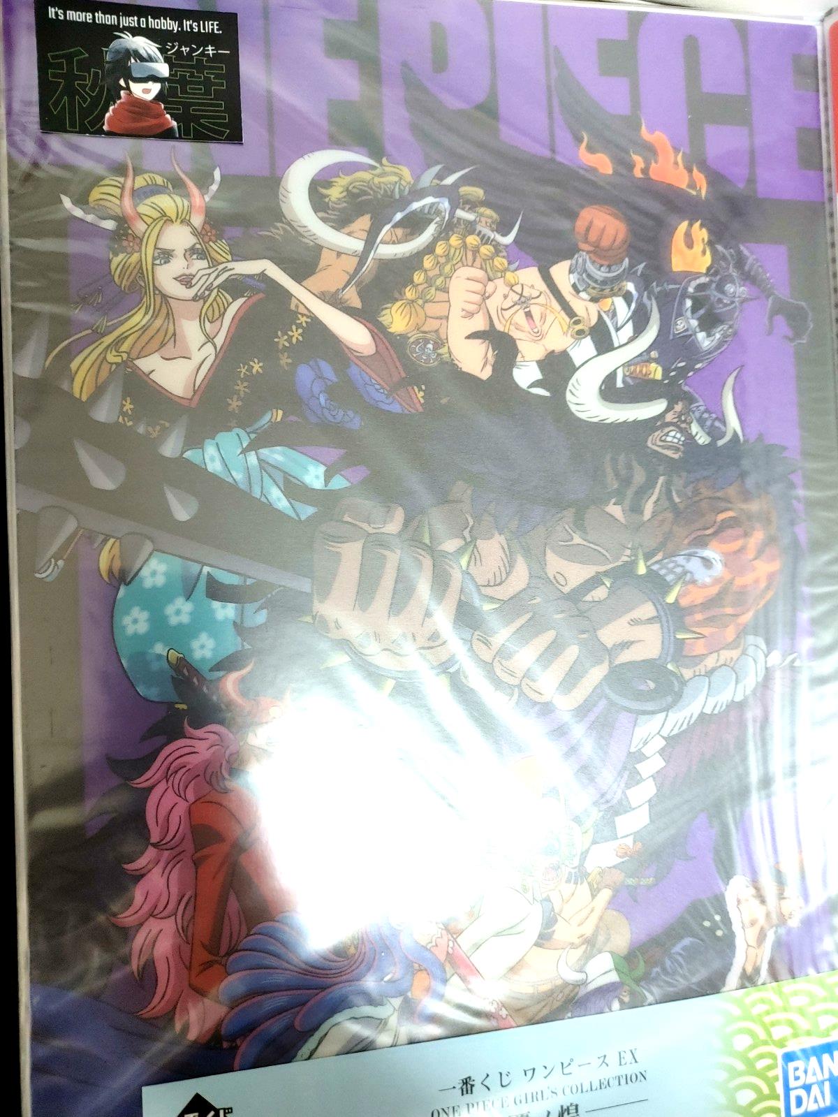 One Piece Anime Collectible Visual Poster Board C JAPAN