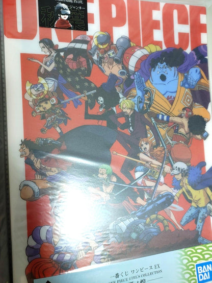 One Piece Anime Collectible Visual Poster Board Crew C JAPAN