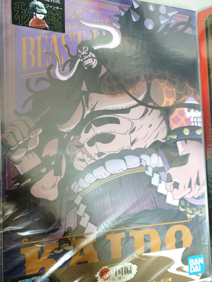 One Piece Anime Collectible Visual Poster Board Kaido C JAPAN